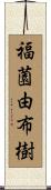 福薗由布樹 Scroll