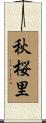 秋桜里 Scroll