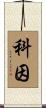 Coyne Scroll