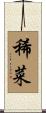 稀菜 Scroll