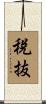 税抜 Scroll