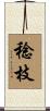 稔枝 Scroll