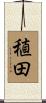 稙田 Scroll