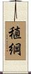 稙綱 Scroll