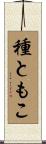 種ともこ Scroll