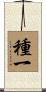 種一 Scroll