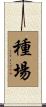 種場 Scroll