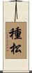 種松 Scroll
