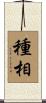 種相 Scroll