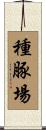 種豚場 Scroll
