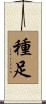 種足 Scroll