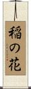 稲の花 Scroll
