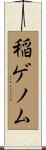 稲ゲノム Scroll