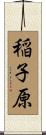 稲子原 Scroll