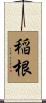 稲根 Scroll