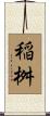 稲桝 Scroll