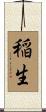 稲生 Scroll