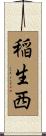 稲生西 Scroll