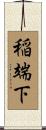稲端下 Scroll