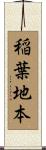 稲葉地本 Scroll