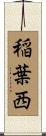 稲葉西 Scroll