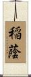 稲蔭 Scroll