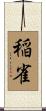 稲雀 Scroll