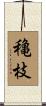 穐枝 Scroll