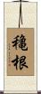 穐根 Scroll