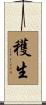 穫生 Scroll