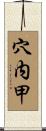 穴内甲 Scroll