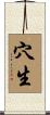穴生 Scroll
