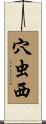 穴虫西 Scroll
