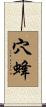 穴蜂 Scroll