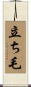 立ち毛 Scroll