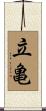 立亀 Scroll