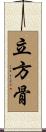 立方骨 Scroll