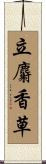 立麝香草 Scroll
