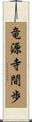 竜源寺間歩 Scroll