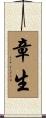 章生 Scroll