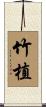 竹植 Scroll