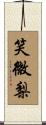 笑微梨 Scroll