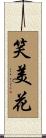 笑美花 Scroll