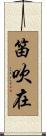 笛吹在 Scroll