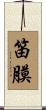 笛膜 Scroll