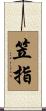 笠指 Scroll