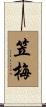 笠梅 Scroll