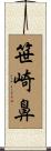 笹崎鼻 Scroll