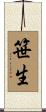 笹生 Scroll