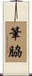 筆脇 Scroll